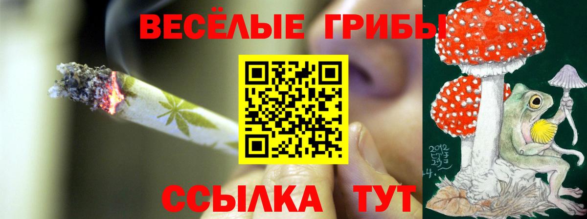 Валуйки  Псилоцибиновые грибы Magic Shrooms  Вход с VPN 